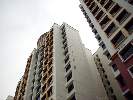 Blk 272B Jurong West Street 24 (Jurong West), HDB 5 Rooms #412832